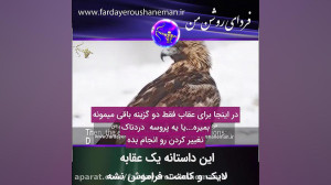 این داستانه یک عقابه
