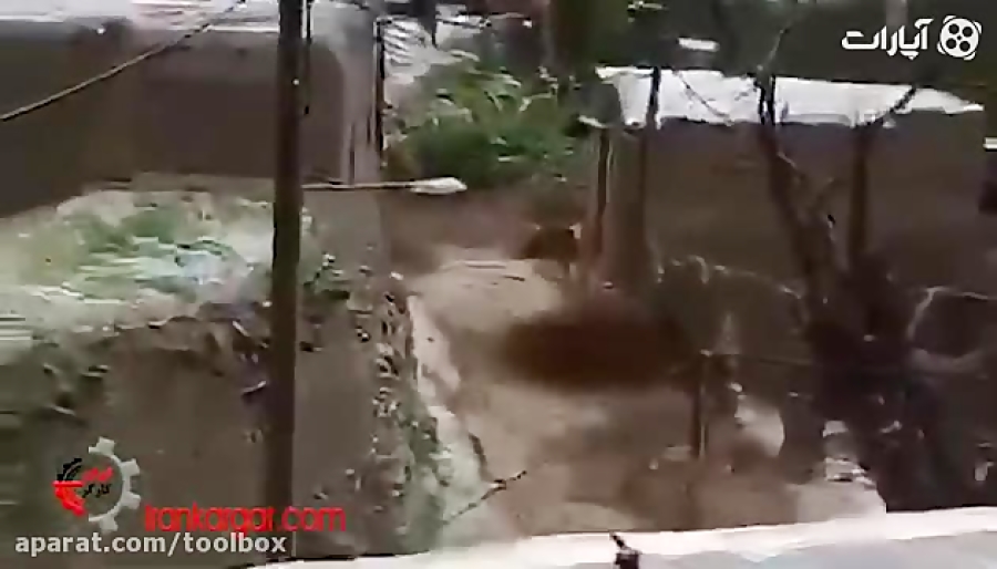 فیلم بردن خودروها و واژگون کرد...