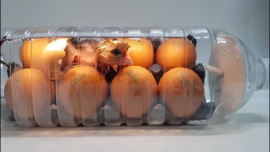 🤓 دستگاه جوجه کشی 🐣 تخم مرغ...