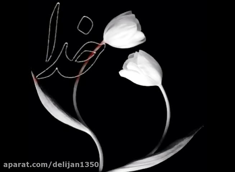 ماه مبارک رمضان