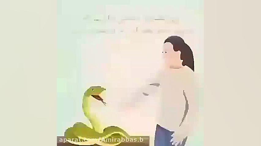 زنی یک مار خانگی داشت که درست...