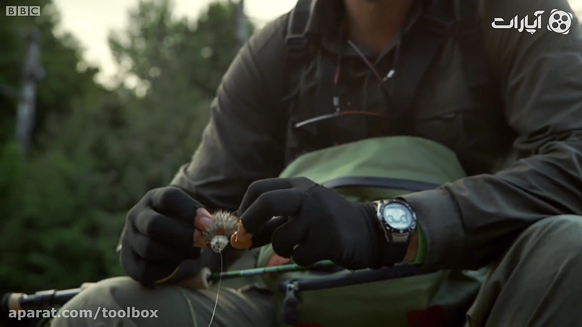 قزل آلا غول پیکر