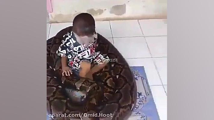 یه زمانی مار برای خودش ابهت و...