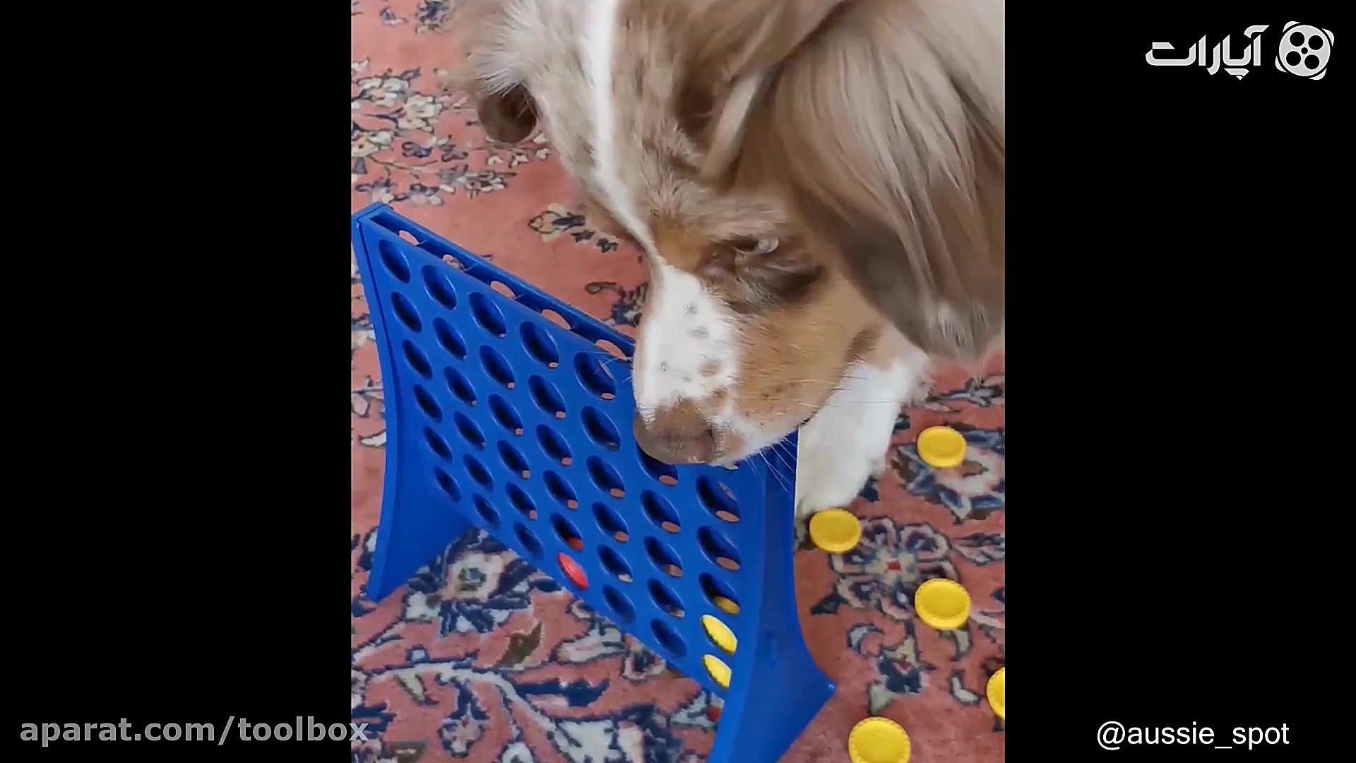 دیدنی های 16