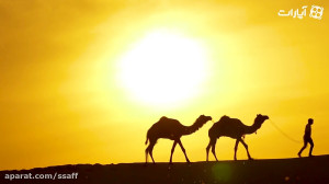 چه کسانی با قرآن جهنمی میشوند؟