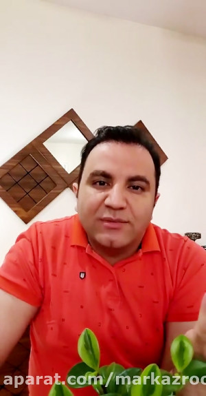 نقش پدر در تربیت کودک
