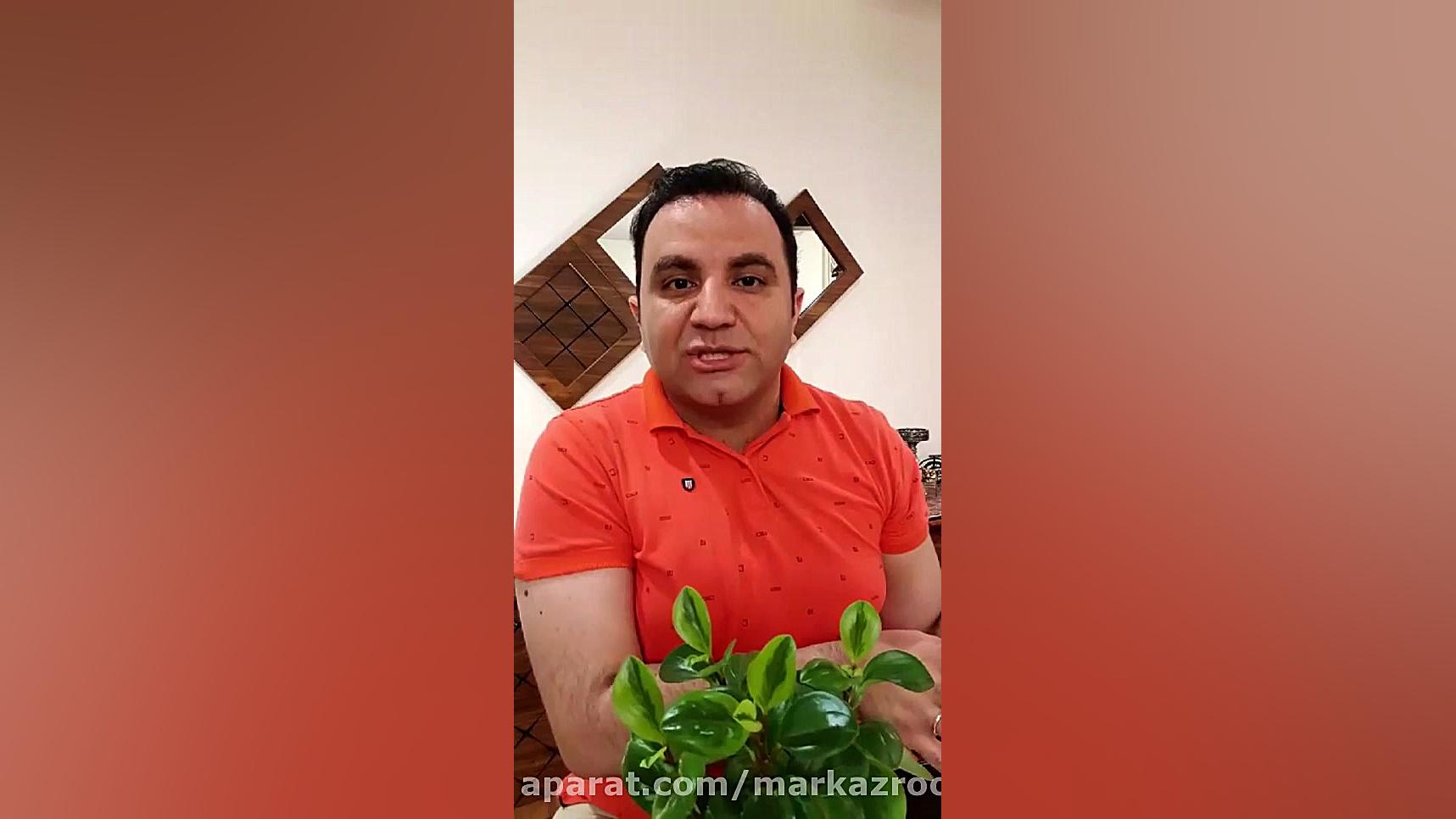 نقش پدر در تربیت کودک