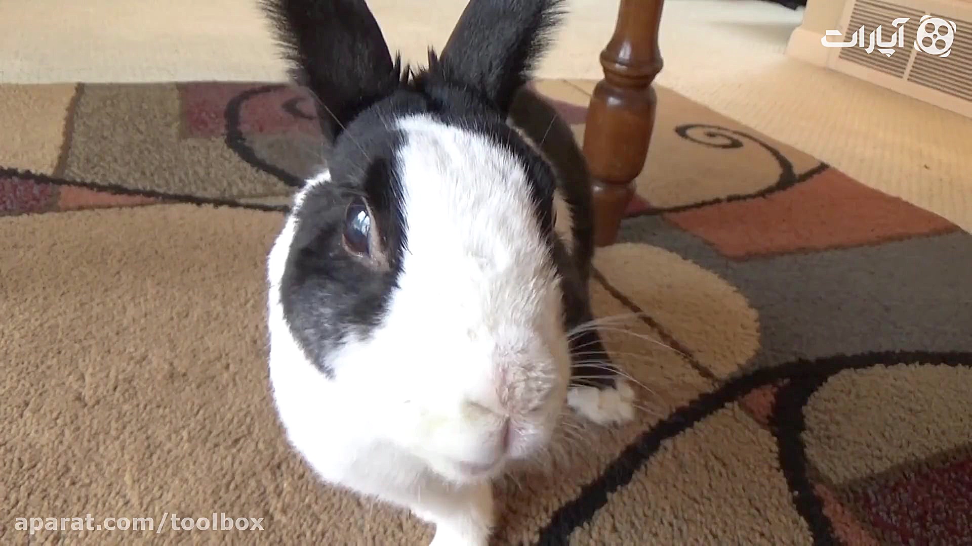 وقتی از خواب بیدار میشی و می ف...