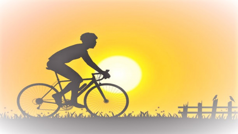 هدیه های آسمان 4  درس 16 : اسب...