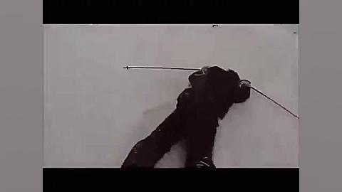 جدید  ویدیو : دانلود کلیپ  صحن...