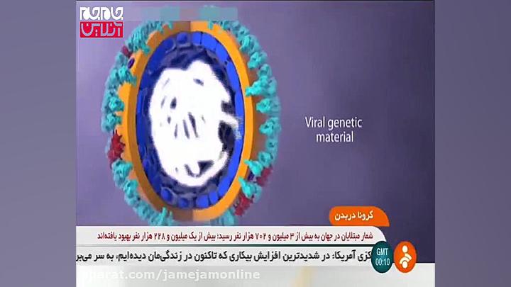 انتشار ویروس کرونا در بدن چگون...