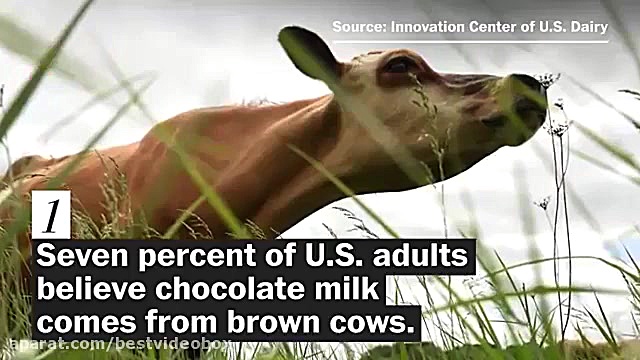 اطلاعات عمومیِ آمریکایی ها در...