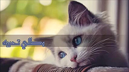 آهنگ عربى الیسا با زیر نویس فا...