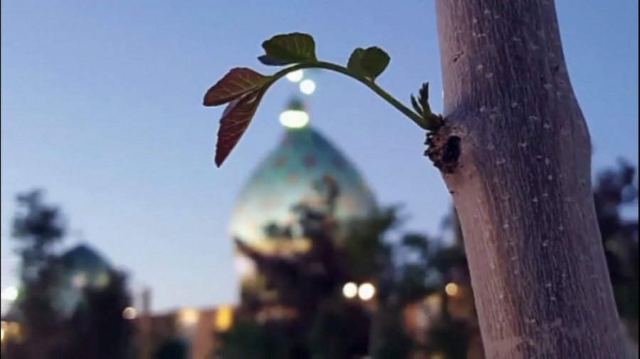 تفسیر دعای ندبه امام زمان عج