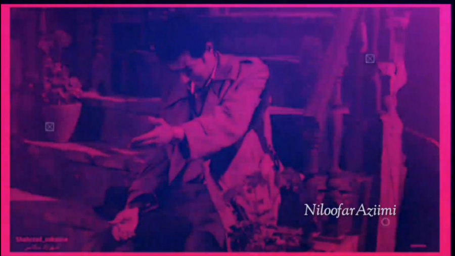 دیوانه رضا بهرام