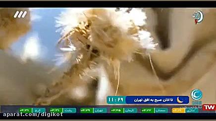 مناجات امیرعلی نبویان با صدای...