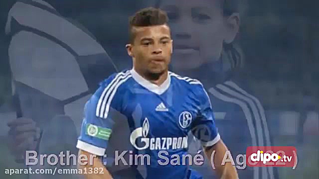 زیر و بم زندگی &laquo;لروی سان...