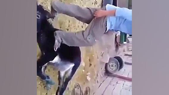 فیلم خنده دار