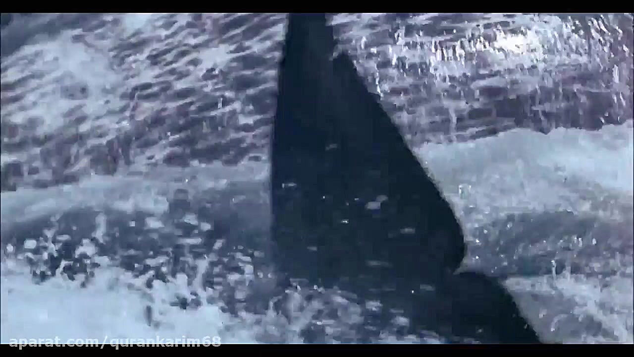 قران; 40 سوره غافر معجزات کتاب...