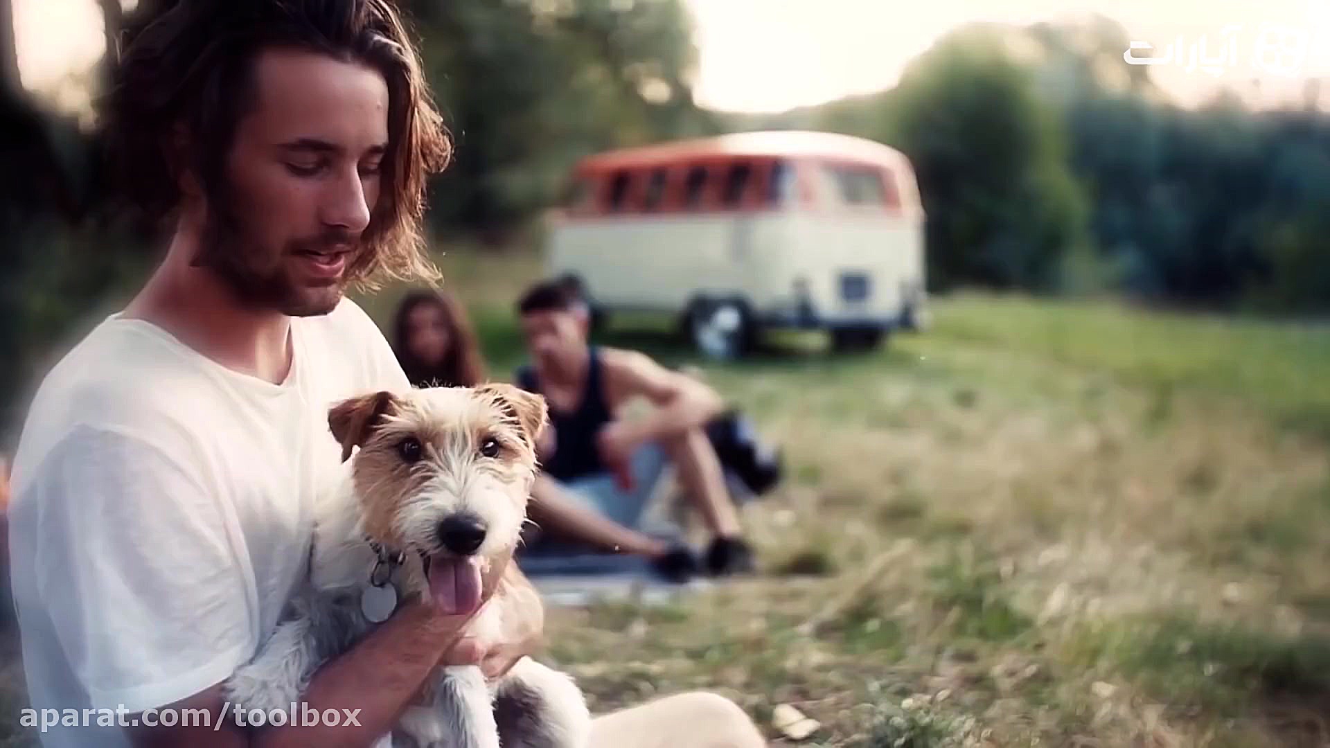 10 تا از باشکوه ترین نژاد سگها