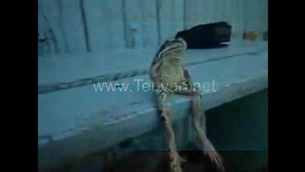 نشستن عجیب قورباغه