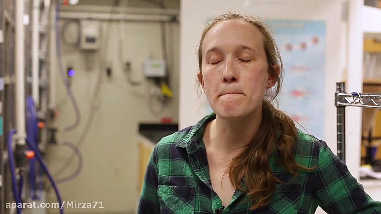 تحقیقات دانشگاه جان هاپکینز بر...