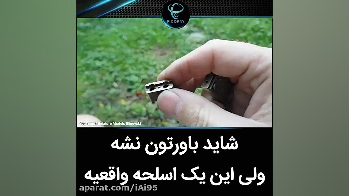 شاید باورتون نشه ولی این یک اس...