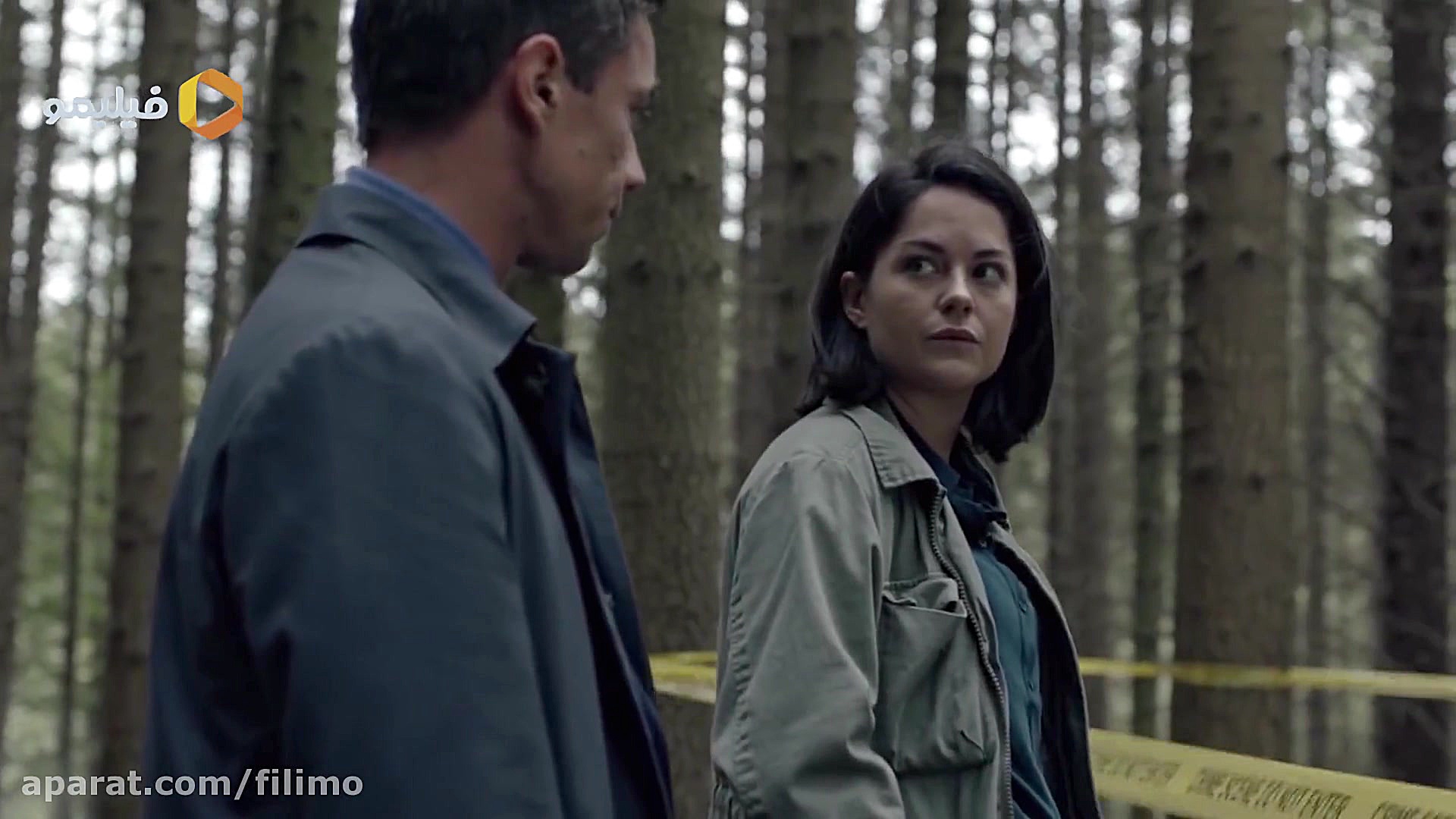 سریال قتل های دوبلین