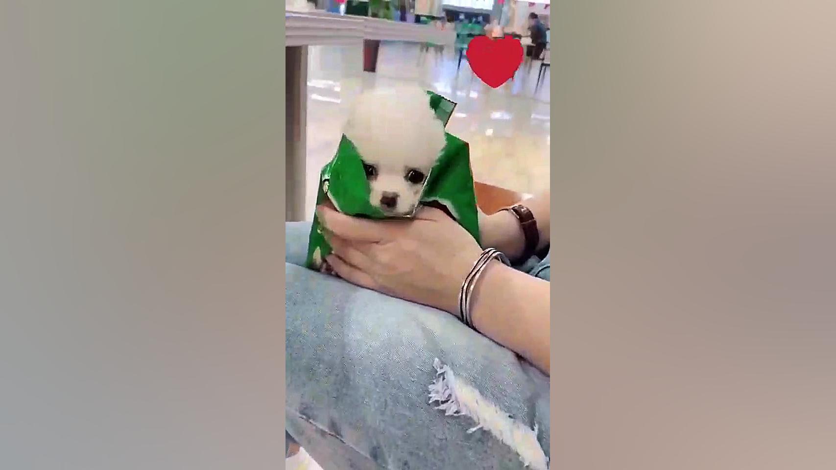 یک عدد از این هاپوها نیازمندیم...