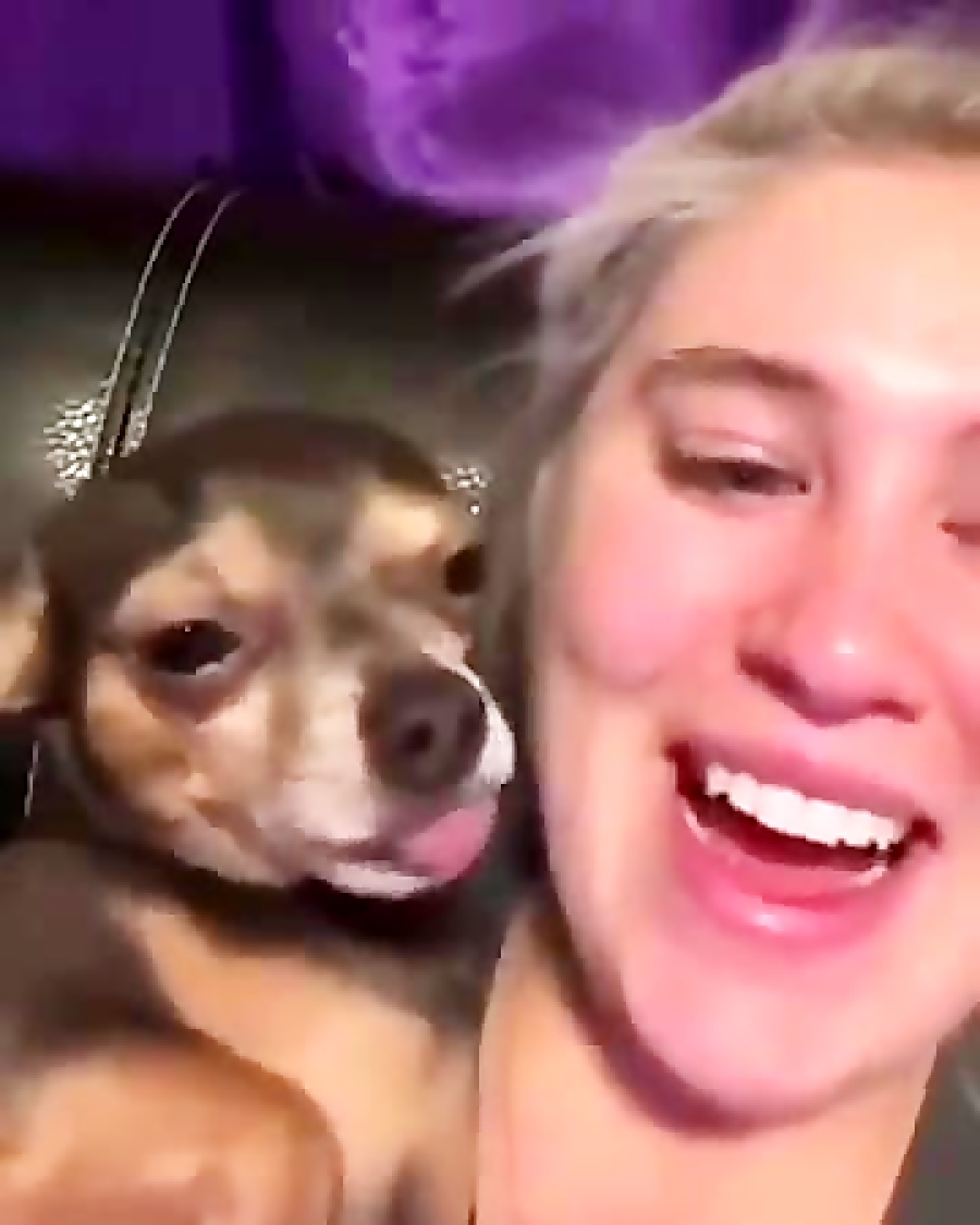 تفاوت رفتار سگ و گربه !