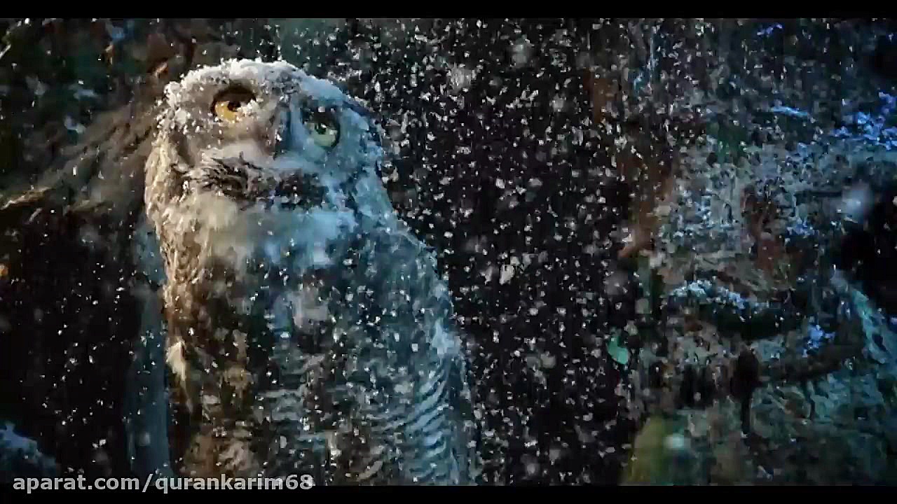 قران; 67 سوره الملک معجزات کتا...