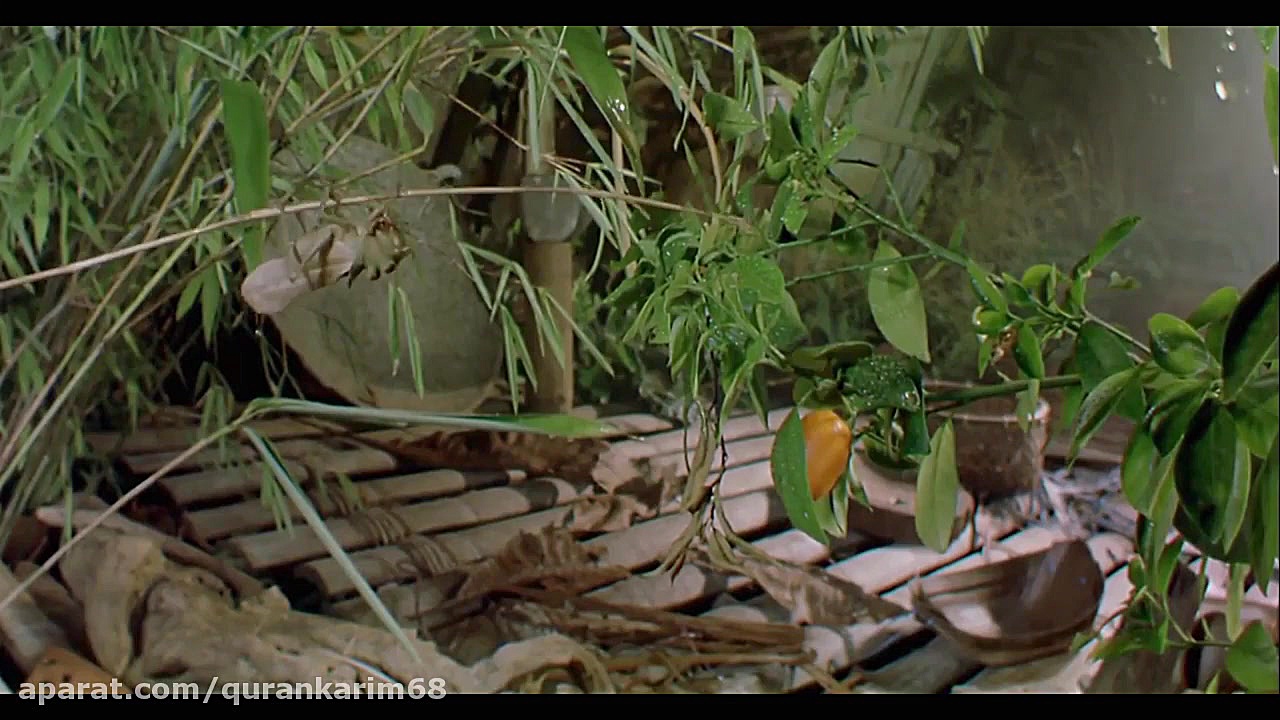 قران; 69 سوره الحقه معجزات کتا...