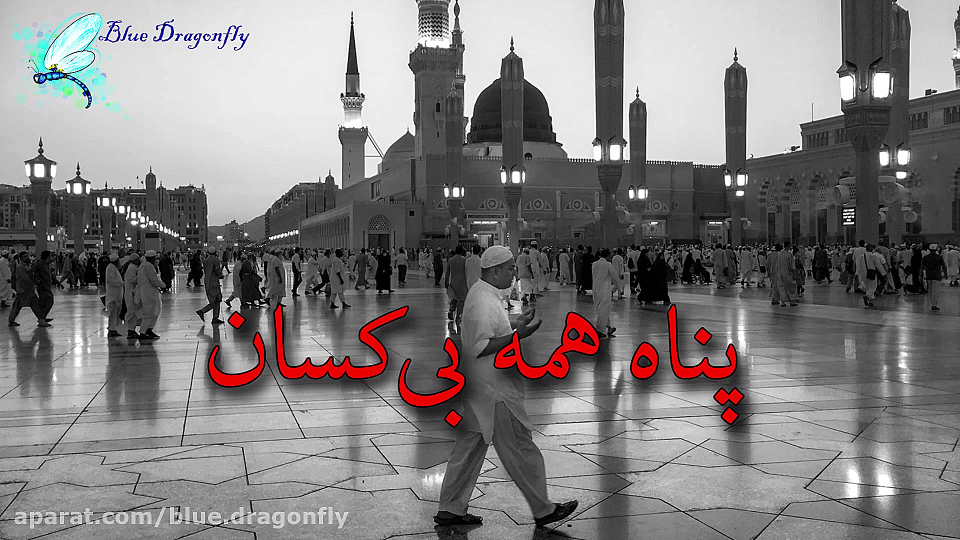 کلیپ شب قدر دعای شب قدر شب احی...