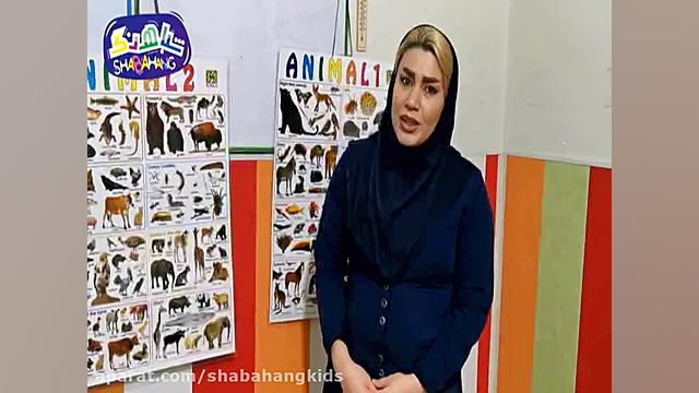 آموزش پوشش بدن حیوانات به کودک...