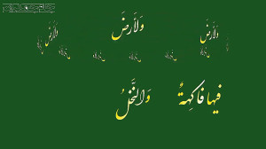 کلیپ قرآنی زیبا (سوره الرحمن)