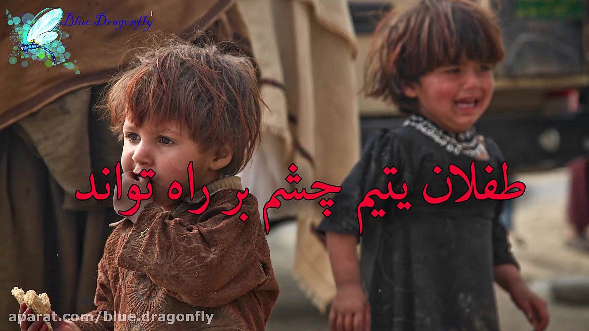 کلیپ شب قدر توسل به امام علی ش...