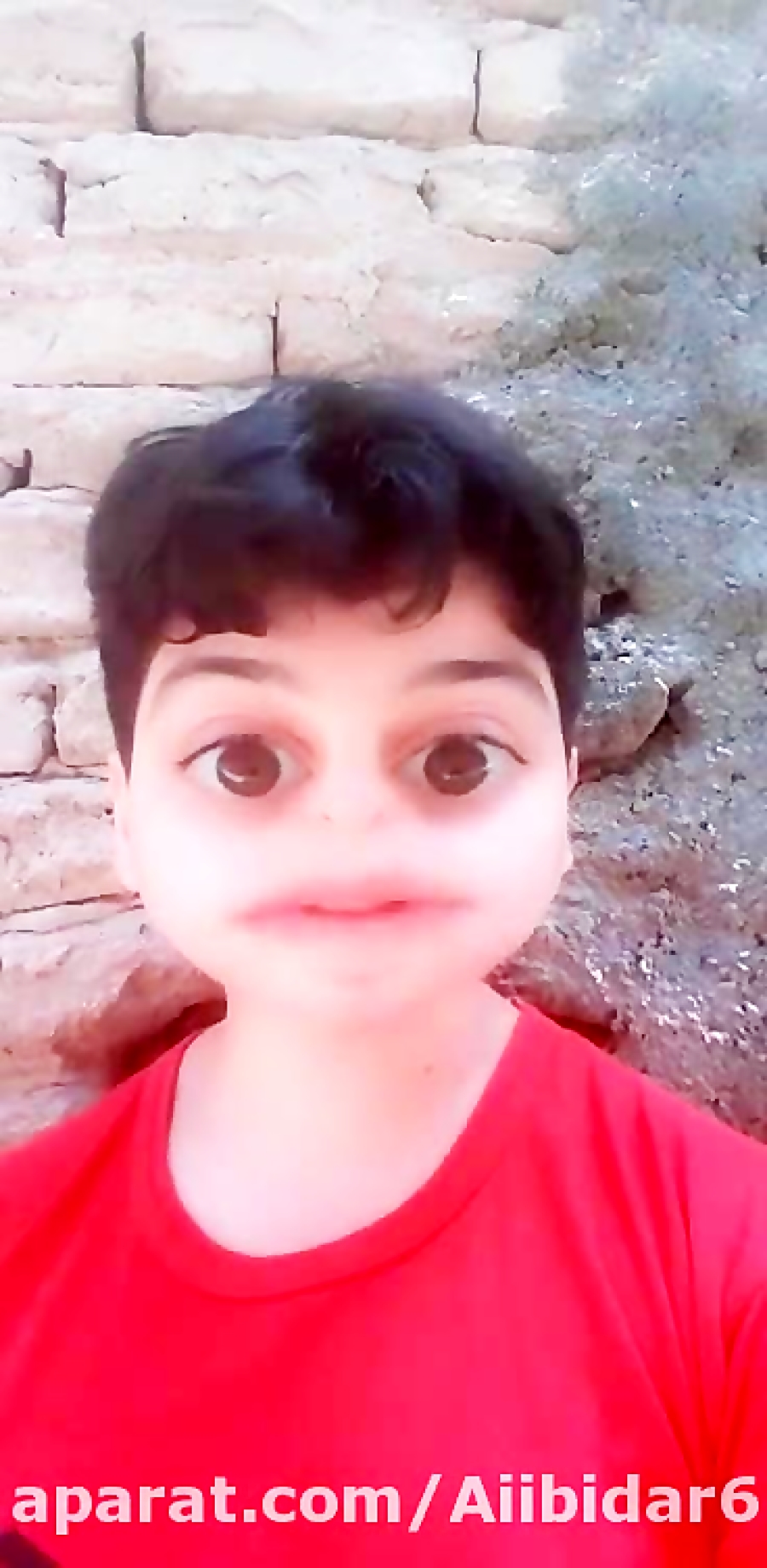 فردین جهانشیری :سروش بیدار