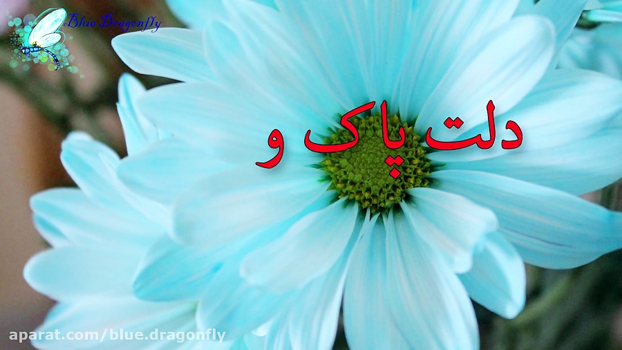 کلیپ شب قدر توسل و توکل  دعای...