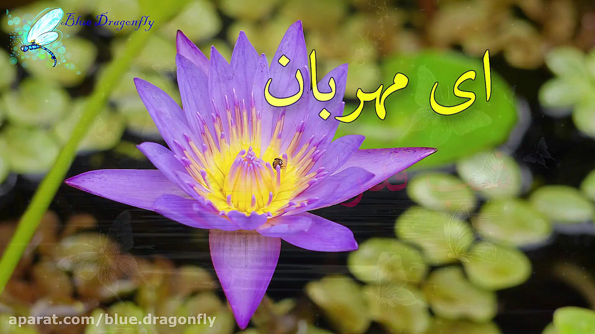 کلیپ شب قدر توسل و توکل  دعای...