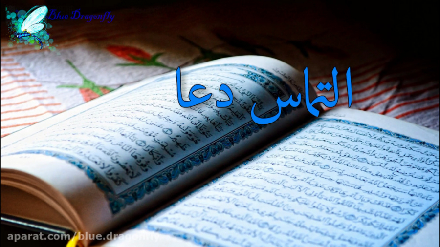 کلیپ شب قدر توسل به حضرت علی د...