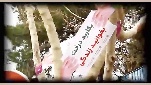 هفته درختکاری در یک نگاه