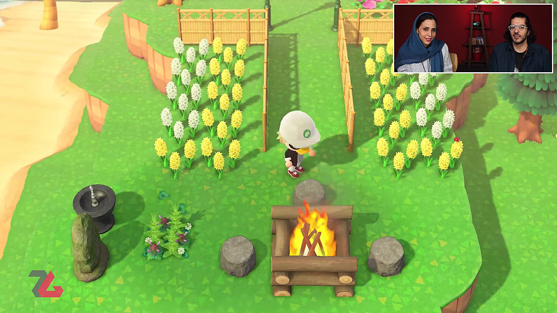 نیم نگاه زومجی: Animal Crossin...