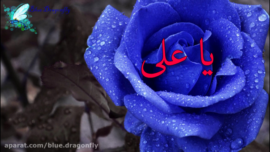 کلیپ شب قدر شب توسل به امام عل...