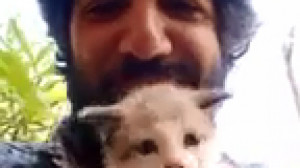 لاکچری امید دانا با گربه هایش