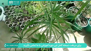 آموزش پرورش گل و گیاه | کاشت گ...