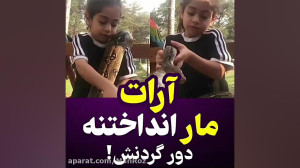 بازی آرات با مار غول پیکر ...