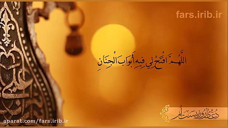 چه مصفاست لحظه های آرام بخش زم...