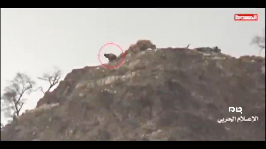 لحظه شکار مزدوران سعودی توسط ن...