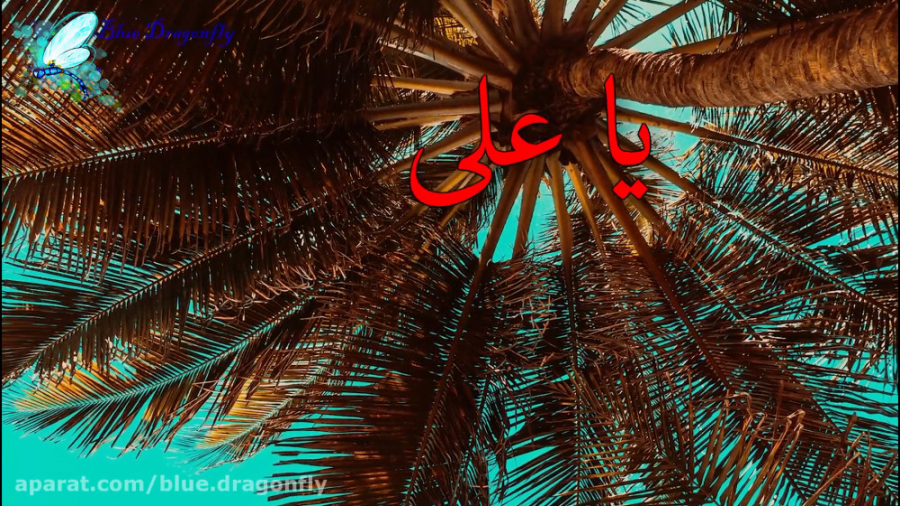 کلیپ شب قدر توسل به امام علی آ...