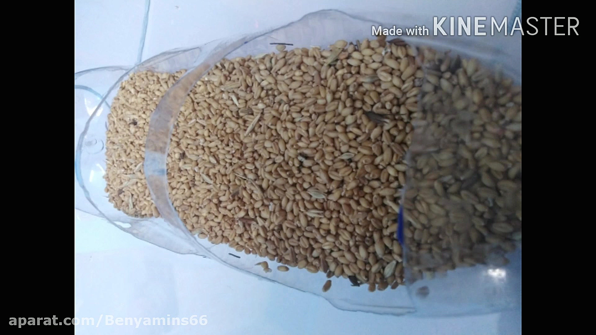 ساخت دان خوری مرغ با بطری بسیا...